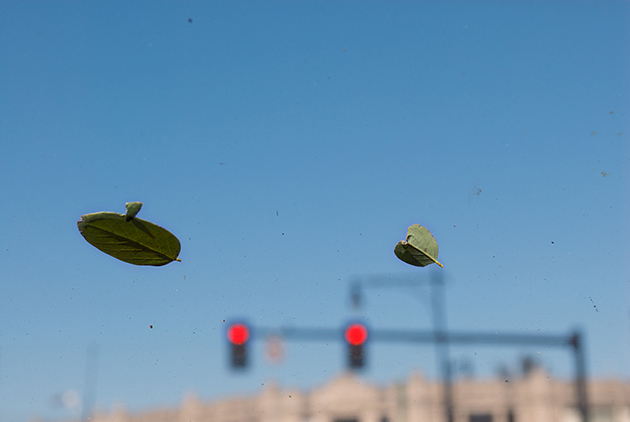 Camilo Ramirez, The Windshield