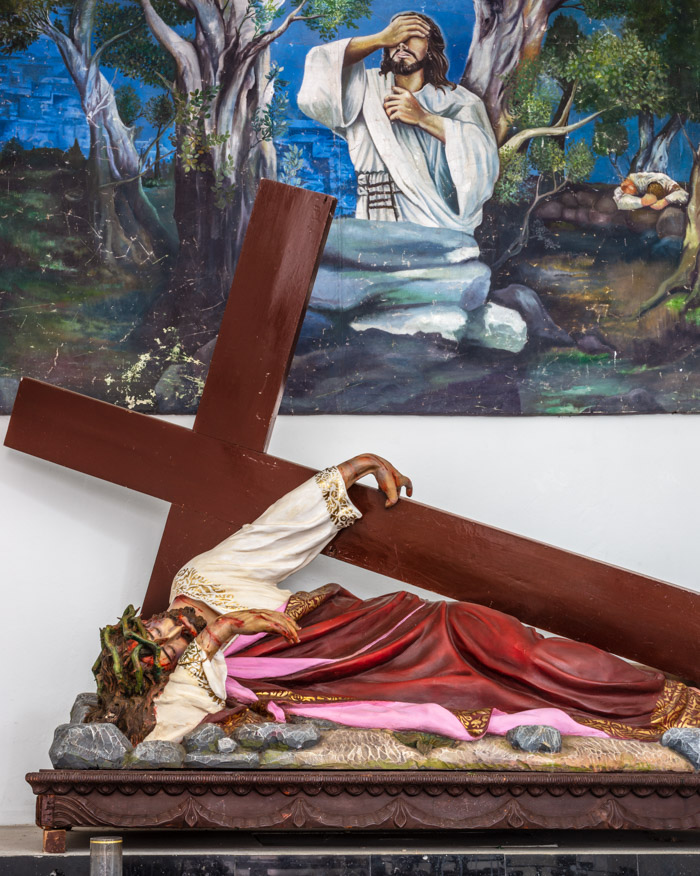 Camilo Ramirez, Cruz y Bosque